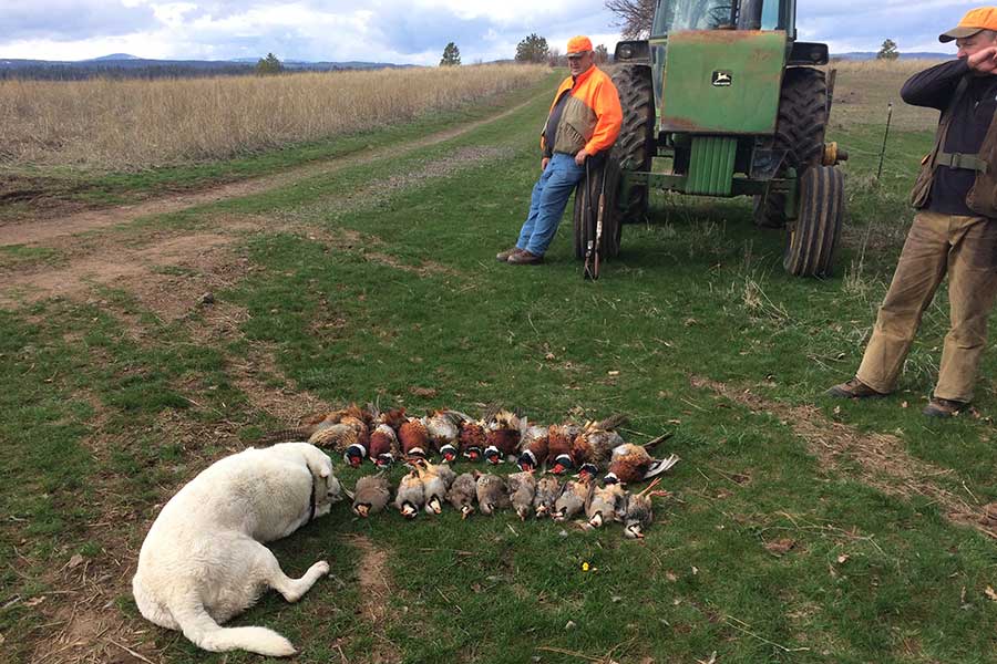 Oregon Recreation Hunting Lodge